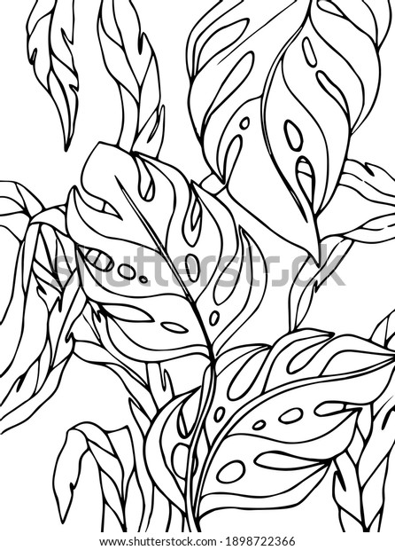 Vector Coloring Page Tropical Forest Outline Stock Vector (Royalty Free ...