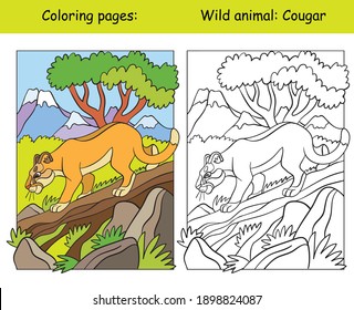 Vector coloring page with walking cougar in mountain area. Cartoon isolated colorful illustration. Coloring book page and color template. For coloring book, design, preschool education, print and game