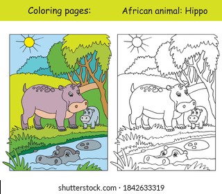 Vector coloring pages with cute hippo family in african area. Cartoon isolated colorful illustration. Coloring and colored image of hippo. For coloring book, design, preschool education, print, game