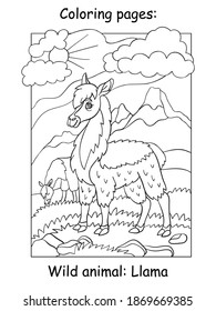 Vector coloring pages with cute llama in mountain area. Cartoon contour illustration isolated on white background. Stock illustration for coloring book, preschool education, print and game.