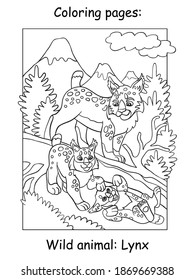 Vector coloring pages with cute lynx mom and two cubs in mountain area. Cartoon contour illustration isolated on white background. For coloring book, preschool education, print and game.