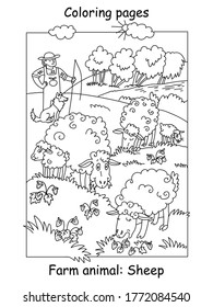 Vector coloring pages with cute sheeps gracing on meadow. Cartoon contour illustration isolated on white background. Stock illustration for coloring book, preschool education, print and game. 