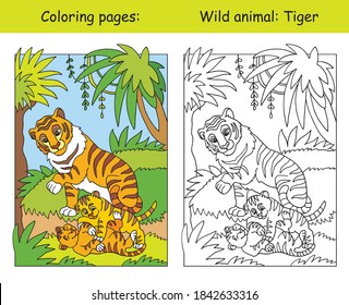 Vector coloring pages with cute tiger family in forest. Cartoon isolated colorful illustration. Coloring and colored image of tiger. For coloring book, design, preschool education, print and game. 