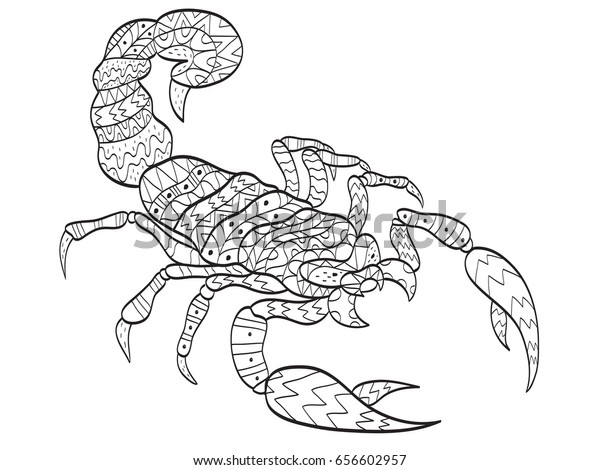 Vector coloring Scorpion for adults illustration. 