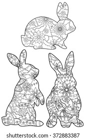 Vector coloring set rabbits