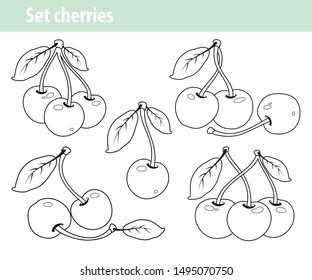 Vector Colorless Cherry Set Outline Contour