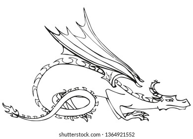 vector colorless line silhouette of dragon isolated on transparent