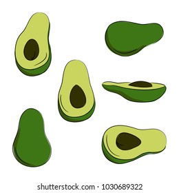 vector colorr avocado vegetable sketch illustration for menu healthy food