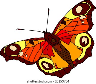 vector - mariposa de color aislada en fondo blanco