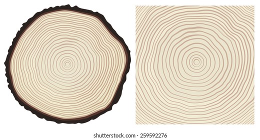 Vector Colour Saw Cut Pine Tree Trunk And Tree Rings Background