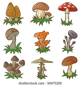 Vector colour set of different cute mushrooms