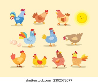 Vector coloured chicken collection, vector illustration 