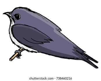 vector, coloured, sketch, hand drawn image of swallow
