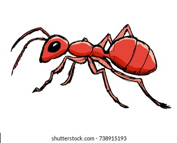 vector, coloured, sketch, hand drawn image of red ant