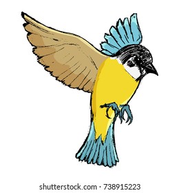 vector, coloured, sketch, hand drawn image of tit bird