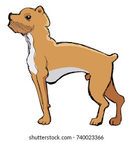 vector, coloured, sketch, hand drawn image of boxer dog