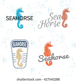 Vector colourful logo set with sea Horse. The sea Horse as main element of logotypes on white background