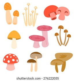 Vector colourful mushroom