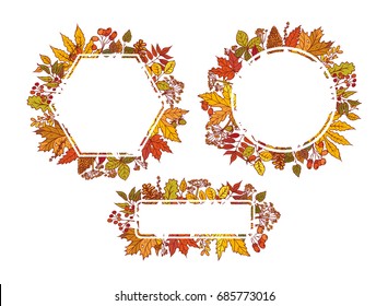Vector colourful outline background sketch autumn leaves, cones, dried flowers and berries. Set herbal graphics. Frame different forms with place for text about sale or holiday congratulations
