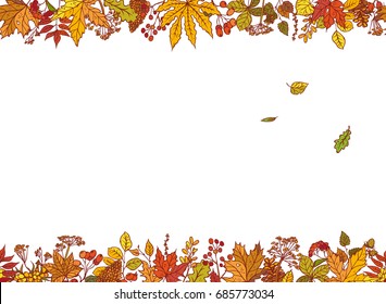 Vector colourful outline background sketch autumn leaves, cones, dried flowers and berries. Seamless borders with herbal graphics and place for text about sale or holiday congratulations