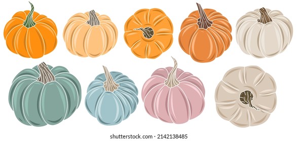 Vector colourful pumpkins set illustration. Hand drawn traditional seasonal October vegetable for thanksgiving holiday.