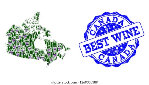 Vector combination of grape wine map of Canada and grunge seal for best wine. Map of Canada collage created with bottles and grape berries.