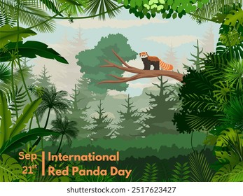 Vector conmemorativo del Día Internacional del Panda Rojo 21 de septiembre con una foto de un panda rojo caminando sobre el tronco de un árbol con un fondo forestal