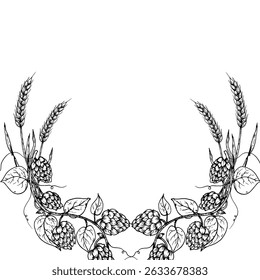 Vector common hop, ear of wheat frame, logo, template. Graphic ink, eco, organic Humulus lupulus branch with leaves and cones illustration isolated on background. Hand drawn line sketch. For designers