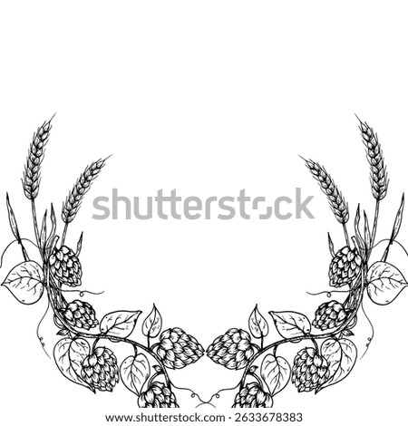 Vector common hop, ear of wheat frame, logo, template. Graphic ink, eco, organic Humulus lupulus branch with leaves and cones illustration isolated on background. Hand drawn line sketch. For designers