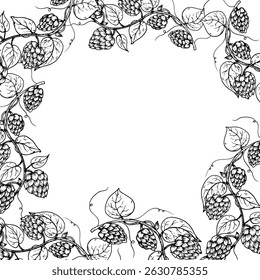 Vector common hop frame, logo, template. Graphic ink, eco, organic Humulus lupulus branch with leaves and cones illustration isolated on background. Hand drawn line sketch. For designers, prints, logo