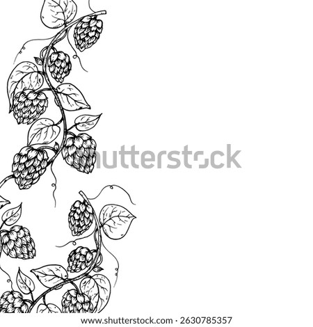 Vector common hop frame, logo, template. Graphic ink, eco, organic Humulus lupulus branch with leaves and cones illustration isolated on background. Hand drawn line sketch. For designers, prints, logo