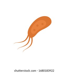 Vector common human virus or bacteria close up isolated on white background