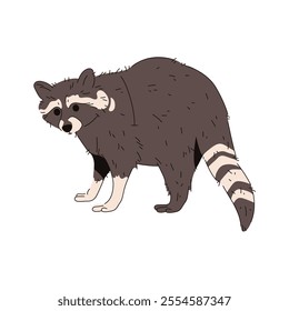 Vector common or northern raccoon. Cartoon nocturnal animal with mask face and stripes. Forest or urban mammal. Wildlife or wilderness clipart. Natural predator for zoo poster or zoology sign