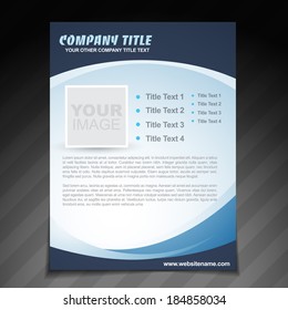 vector company flyer brochure design