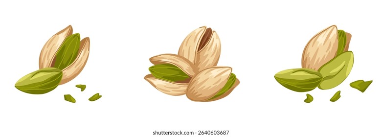Vector composition of assorted pistachios. Closed, opened, broken, crushed nuts. Hand drawn illustration for food product design, packaging, menu graphics, promo visuals, healthy apps