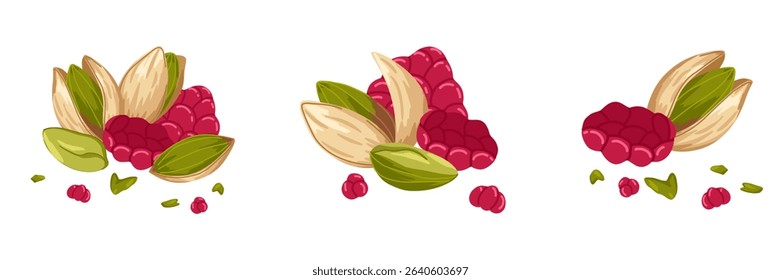 Vector composition of assorted pistachios. Closed, opened, broken, crushed nuts. Hand drawn illustration for food product design, packaging, menu graphics, promo visuals, healthy apps