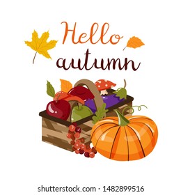 Vector composition with autumn elements in a basket (mushrooms, leaves, eggplant, apples), rowan, pumpkin. Vector illustration for cards, posters