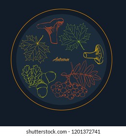 Vector composition of autumn leaves, fruits and mushrooms in a circle.