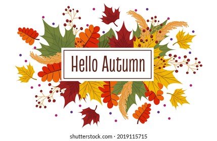 Vector composition with autumn leaves, text hello autumn. Colorful maple, ash leaves with rowan berries and wheat dots and a place for text.