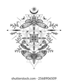 Vector composition of black and white moth, plants, elements of astrology and sacred geometry isolated on white background. Mystical symbols and insects. Hand drawn illustration for tattoo, coloring b