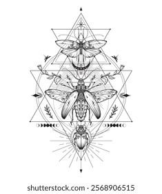 Vector composition of black and white moth, plants, elements of astrology and sacred geometry isolated on white background. Mystical symbols and insects. Hand drawn illustration for tattoo, coloring b