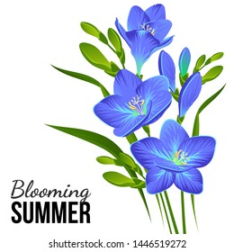 Vector composition of blooming freesias and buds