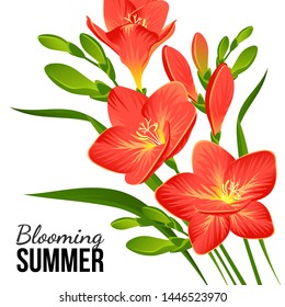 Vector composition of blooming freesias and buds