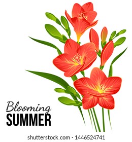 Vector composition of blooming freesias and buds