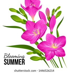 Vector composition of blooming freesias and buds