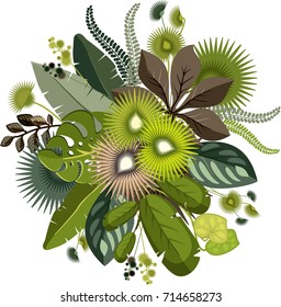 Vector composition bouquet of exotic plants and tropical leaves lined in round form on a white background