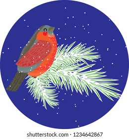 Vector composition with bullfinch bird on conifer branches. Winter design element for christmas, new year, greeting card. Can be used for poster, web page, packaging