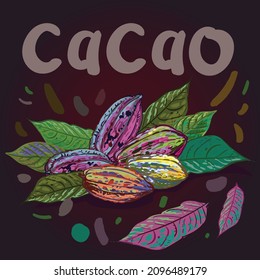 composición vectorial de los frijoles de cacao con hojas, para el diseño de envases de chocolate. Texto de Cacao. Granos multicolores, extraídos de los arcos, de estilo esquemático