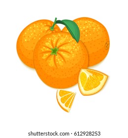 Vector composition of a citrus orange fruits. Mandarin whole and cut . Group of tasty ripe tropical orange fruit, designer elements for packaging juice breakfast health food, tea