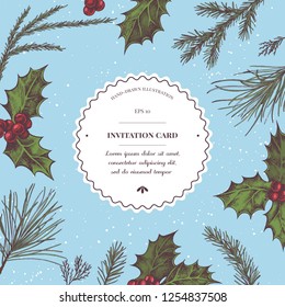Vector composition with colored holly, pine branch, spruce, redwood